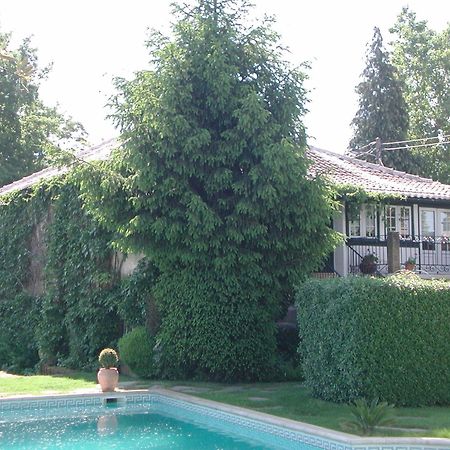 Casa Da Quinta De S. Martinho Hotel Vila Real Ngoại thất bức ảnh
